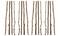 Hello Honey® 59" Long Wood Birch Branches, 16ct.